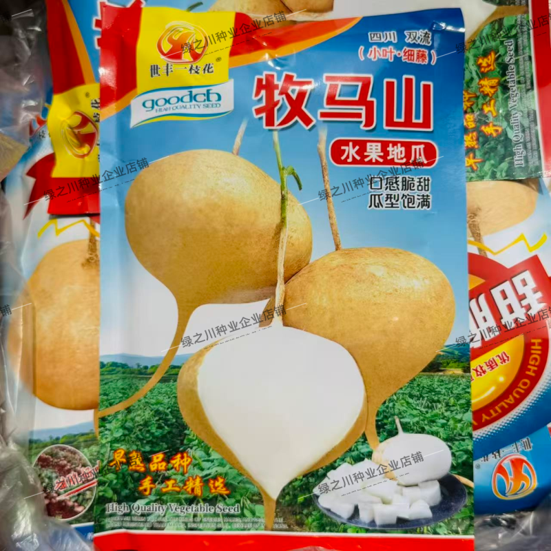 四川甜脆水果地瓜种子香甜优质早熟牧马山地瓜种籽凉薯种子