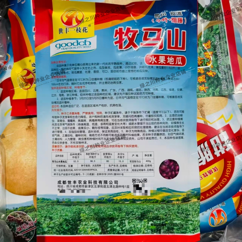 四川甜脆水果地瓜种子香甜优质早熟牧马山地瓜种籽凉薯种子