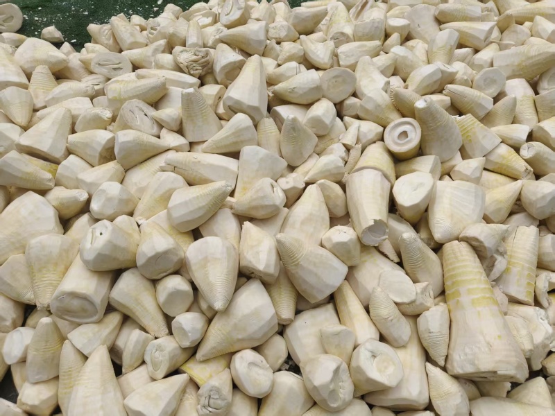 笋干湖北笋干、现货供应、保质保量、可视频看货电联价格可谈