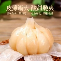 糖醋蒜头一件代发，质量保证，对接全国各地客户，量大优惠