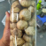 【一件代发】【店长推荐】出口级精品独头黑蒜发酵黑蒜