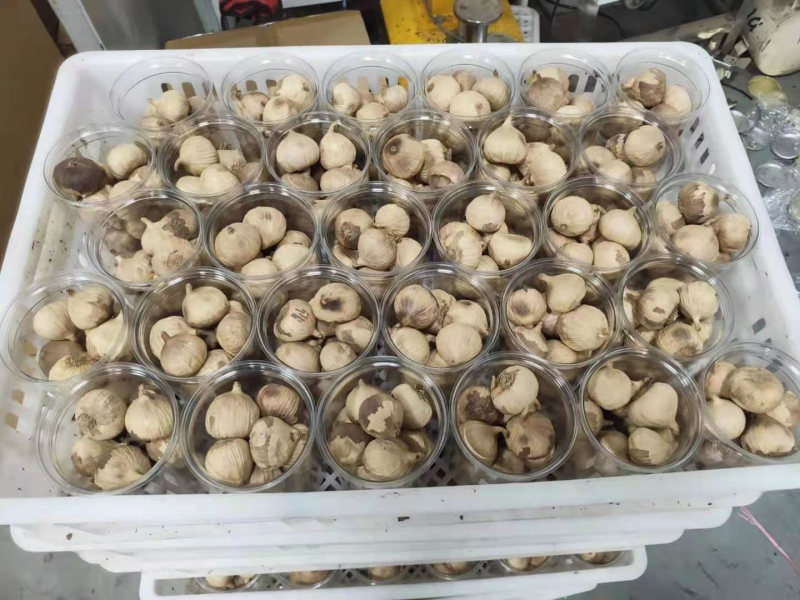 【一件代发】【店长推荐】出口级精品独头黑蒜发酵黑蒜