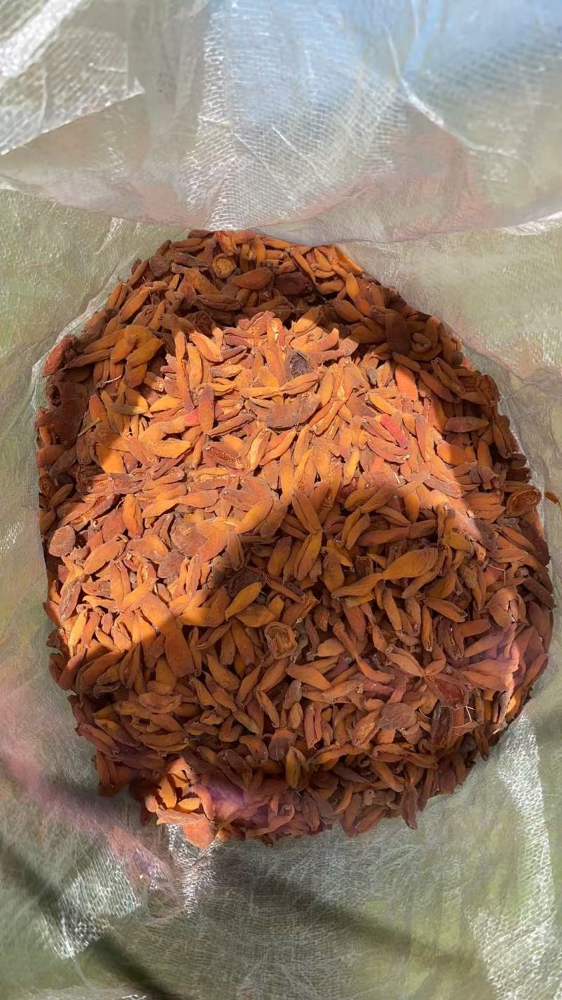 【推荐】精品杏干一手货源厂家直发量大从优质量保证