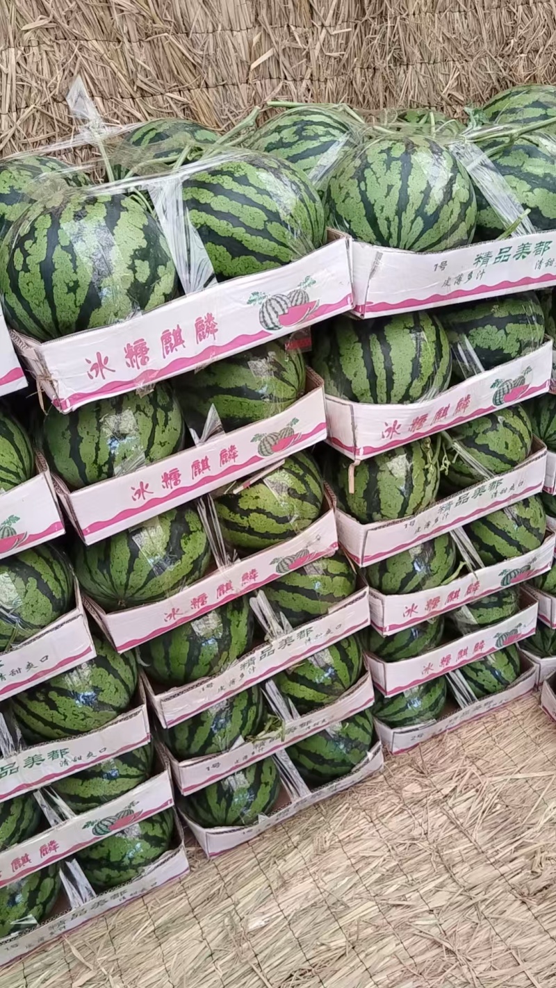 精品美都西瓜，大量上市，代收代发，诚信经营，欢迎合作