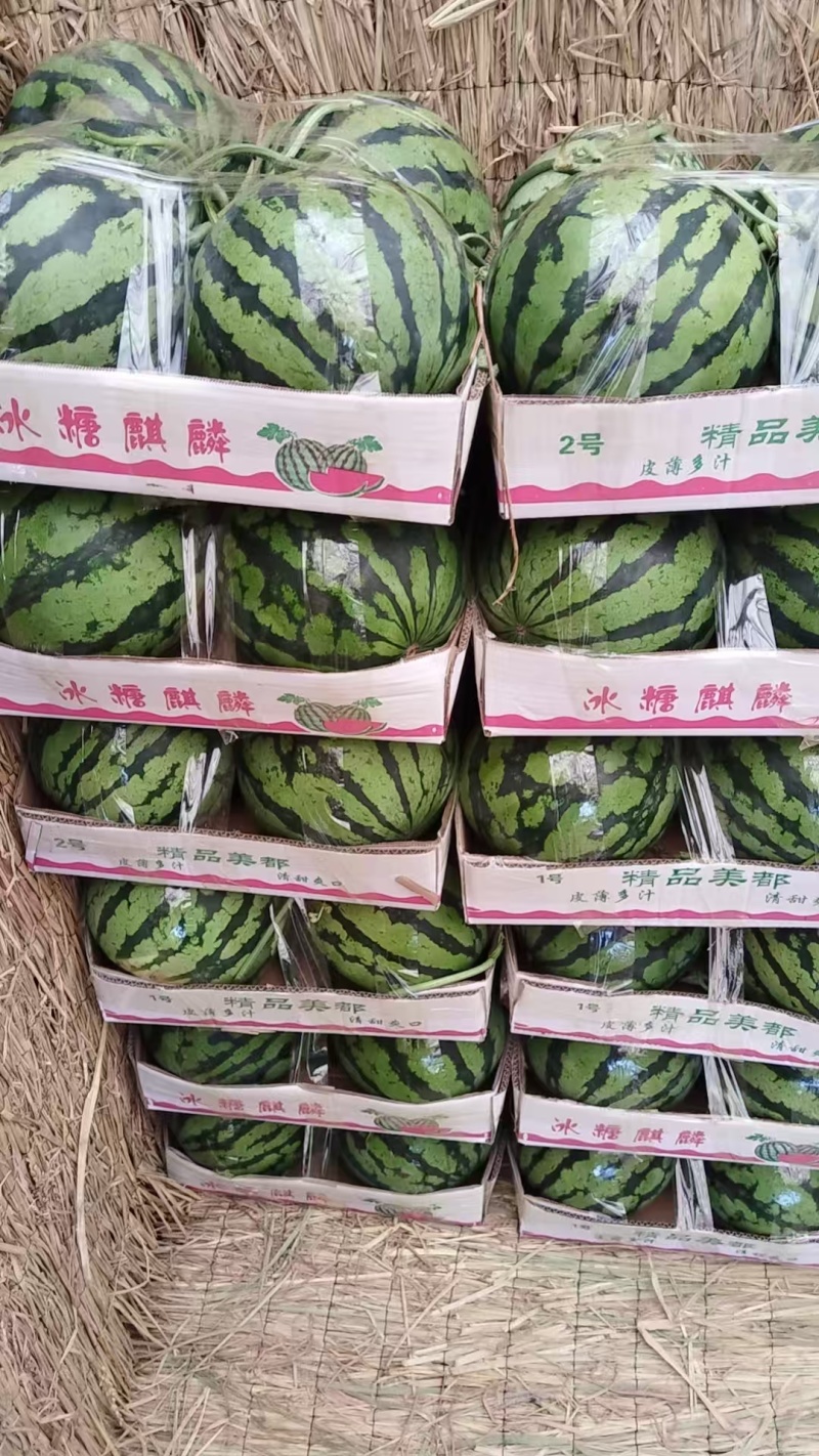 精品美都西瓜，大量上市，代收代发，诚信经营，欢迎合作