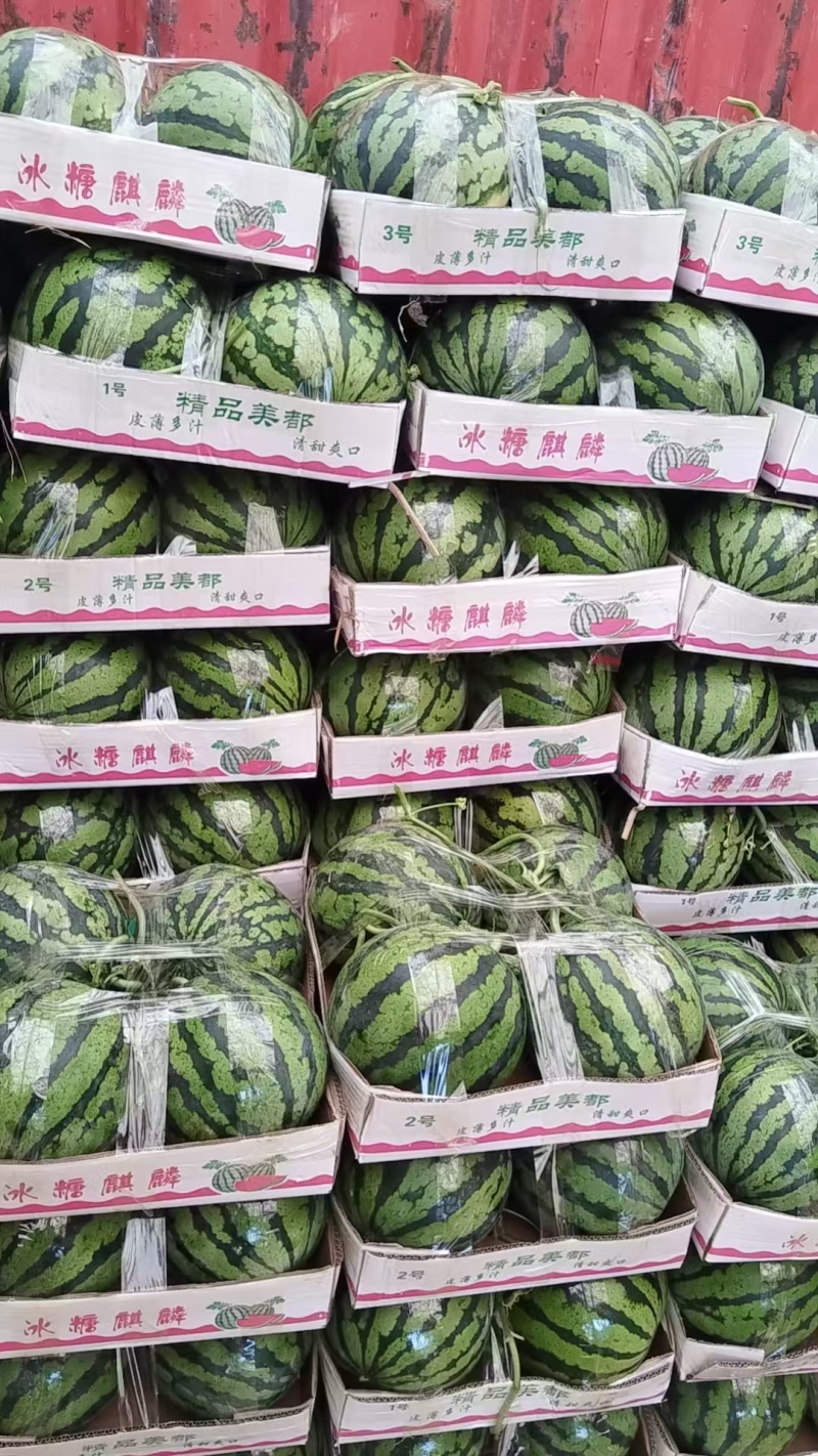 精品美都西瓜，大量上市，代收代发，诚信经营，欢迎合作