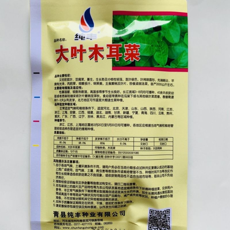 大叶木耳菜种子叶片肥厚好吃耐高热耐旱春夏四季阳台盆栽蔬菜