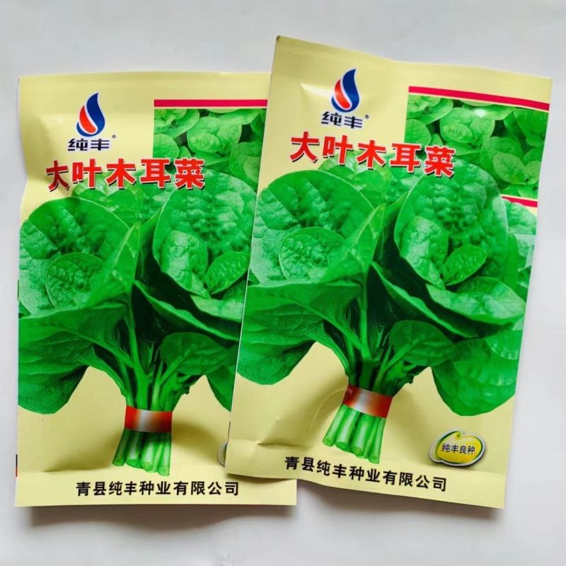 大叶木耳菜种子叶片肥厚好吃耐高热耐旱春夏四季阳台盆栽蔬菜
