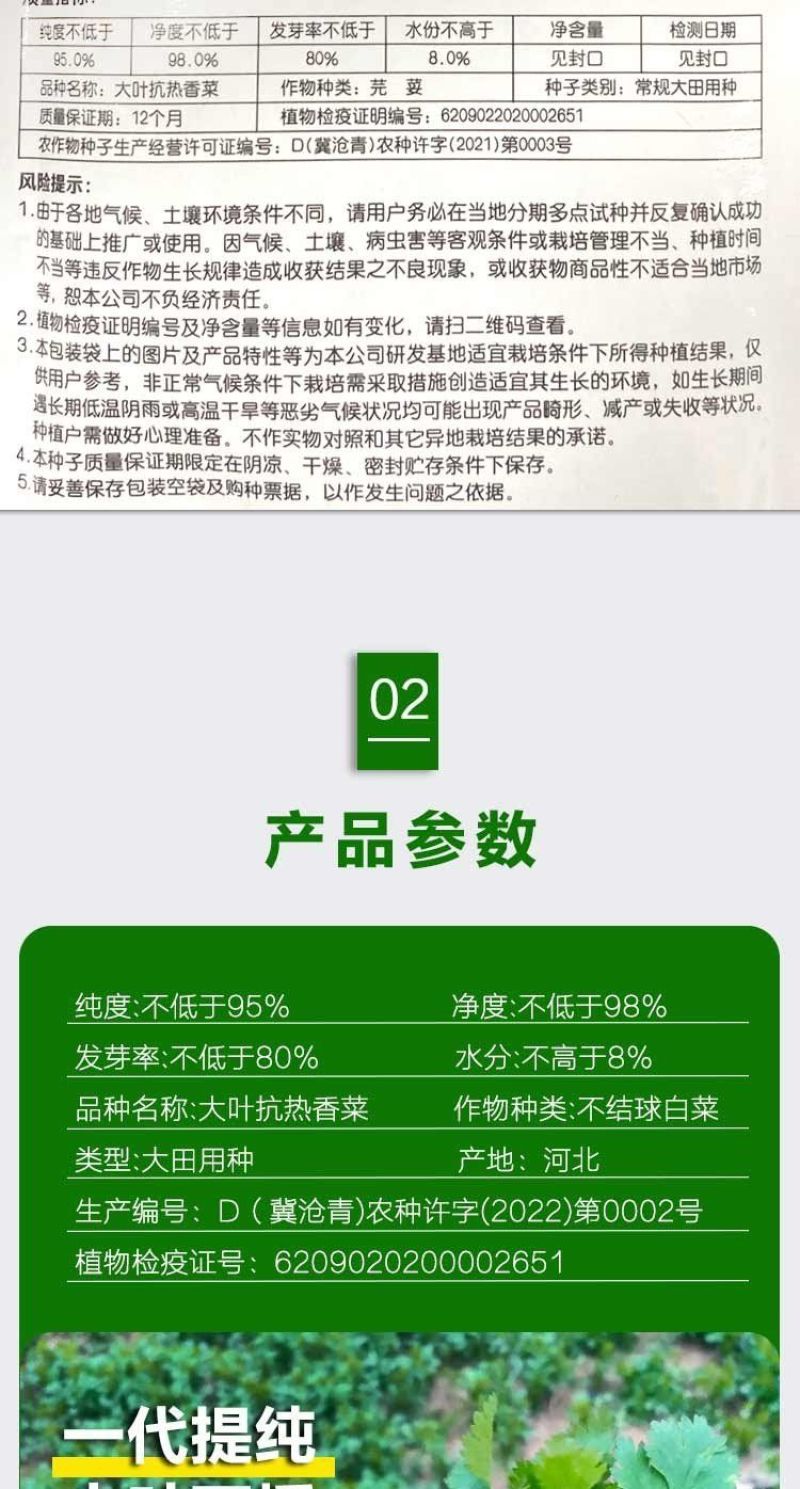四季大叶香菜籽阳台盆栽四季耐热芫荽种子蔬菜种孑农家庭院菜