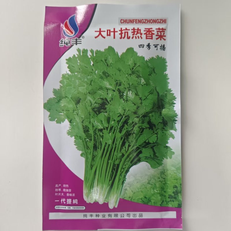 四季大叶香菜籽阳台盆栽四季耐热芫荽种子蔬菜种孑农家庭院菜