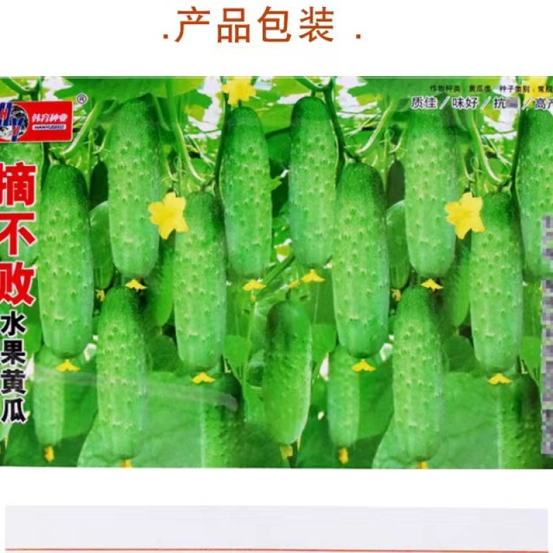 摘不败水果黄瓜种子农田阳台菜园美容夏季耐热春季蔬菜种孓批
