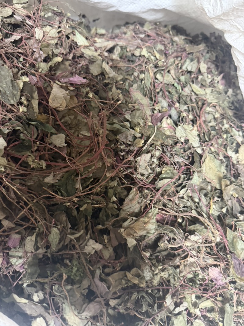 风柜斗草一手货源批发零售