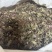 风柜斗草一手货源批发零售