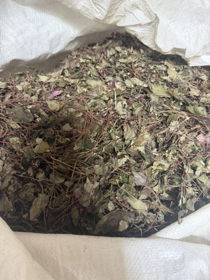 风柜斗草一手货源批发零售