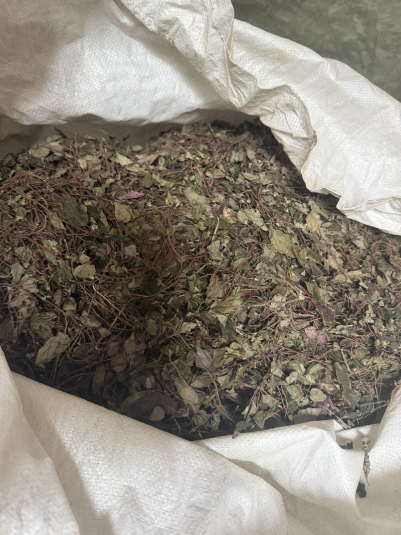 风柜斗草一手货源批发零售