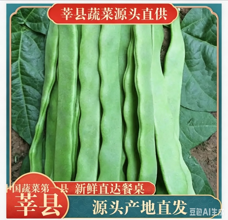 山东莘县扁豆角中国蔬菜**县新鲜采摘源头供货