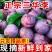 正宗三华李云南文山基地直发对接商超团购电商一条龙