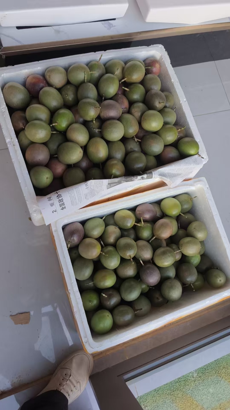 台农1号百香果云南基地直发保质保量对接商超团购电商