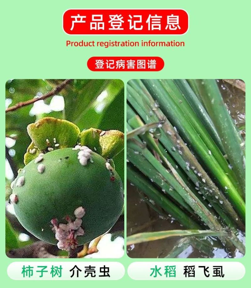 上海沪联50%噻嗪酮蚧壳虫专用药果树介壳虫农药杀虫剂杀稻