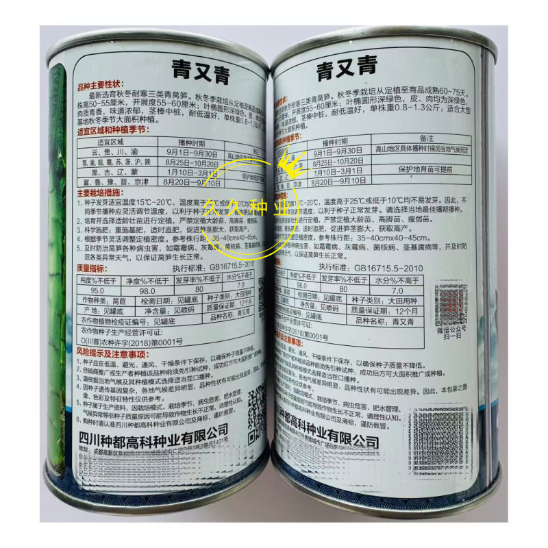 种都青又青三类青莴笋种子叶皮肉深绿色肉质清香浓郁耐低温