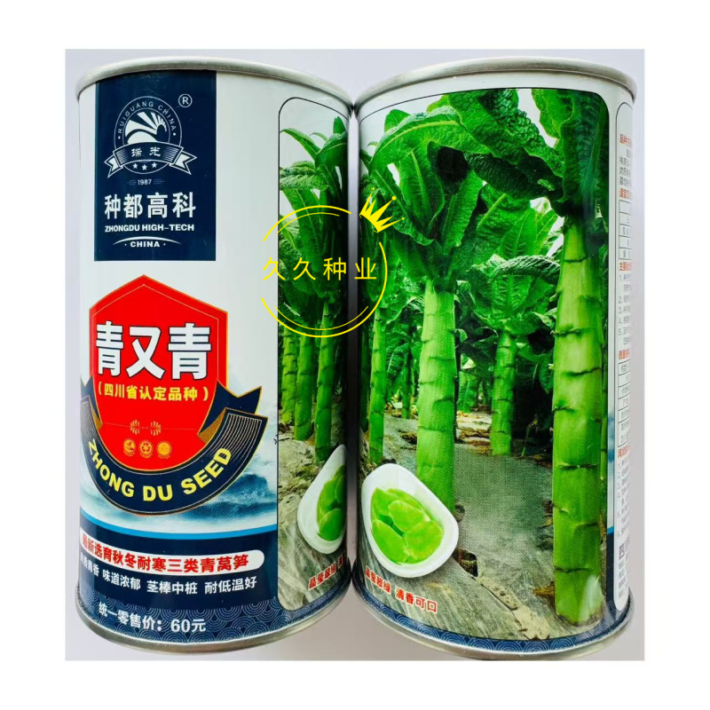 种都青又青三类青莴笋种子叶皮肉深绿色肉质清香浓郁耐低温
