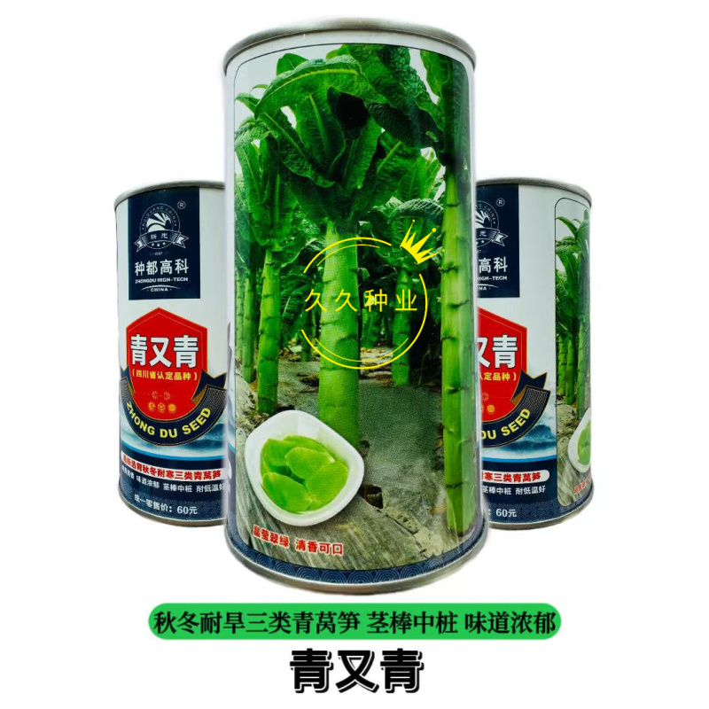种都青又青三类青莴笋种子叶皮肉深绿色肉质清香浓郁耐低温