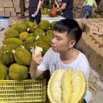 金枕榴莲一手批发价格，A果保5房，坏果包赔，包售后