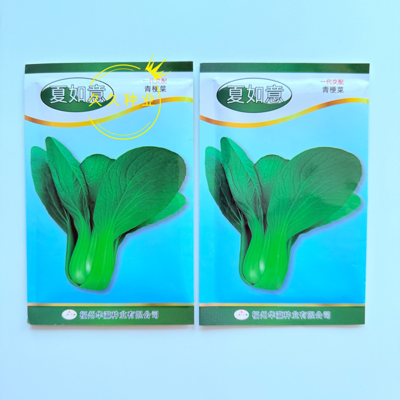夏如意夏季耐热青梗菜种子小油菜夏天种植的蔬菜上海青种籽