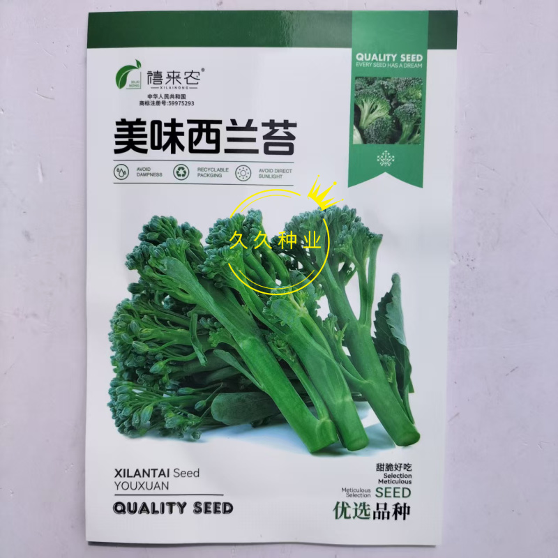 美味西兰苔种子茎杆纤维少风味好分枝多芥兰芥菜苔阳台庭院