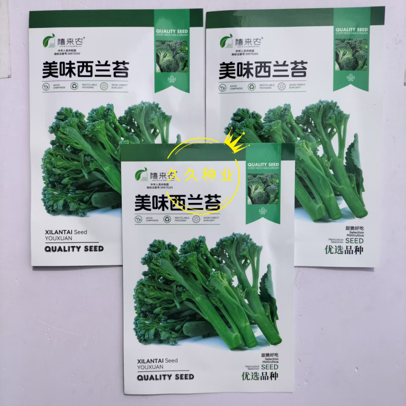 美味西兰苔种子茎杆纤维少风味好分枝多芥兰芥菜苔阳台庭院