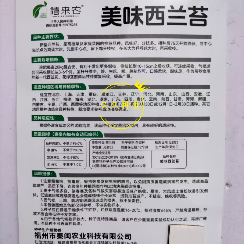 美味西兰苔种子茎杆纤维少风味好分枝多芥兰芥菜苔阳台庭院