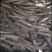 合川区渔场黑鱼苗大量出售各种杂交乌鱼苗全国包邮死亡包赔