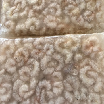 淡水河虾欢迎合作共赢