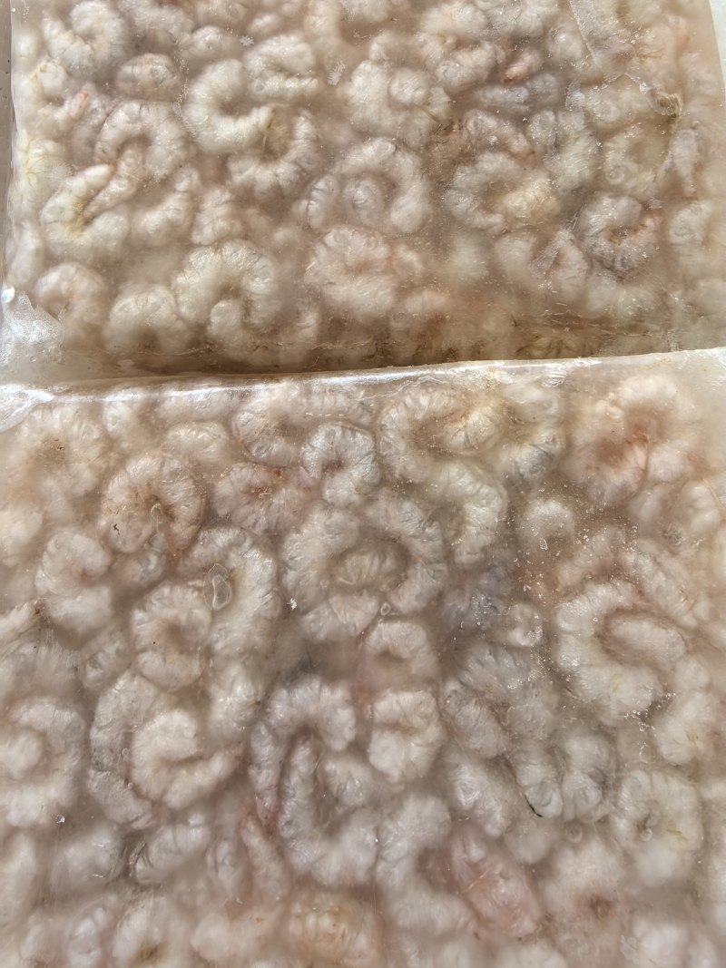 淡水河虾欢迎合作共赢