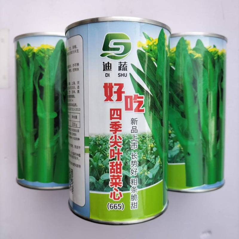 好吃四季尖叶甜菜心长势快鲜脆粗杆无纤维原装新种大田基地专