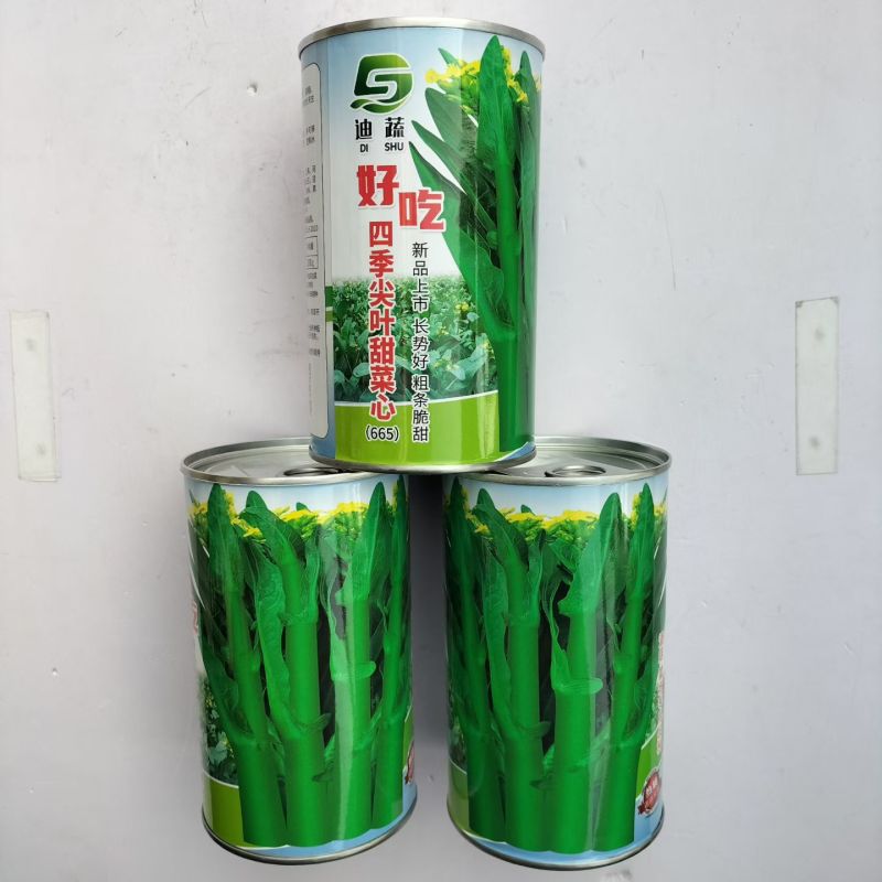 好吃四季尖叶甜菜心长势快鲜脆粗杆无纤维原装新种大田基地专