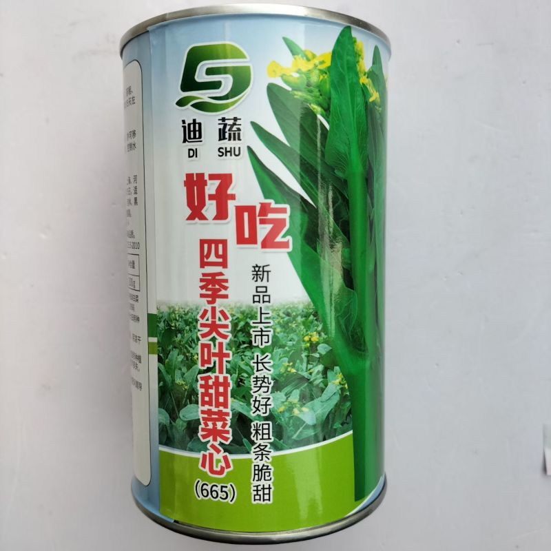 好吃四季尖叶甜菜心长势快鲜脆粗杆无纤维原装新种大田基地专