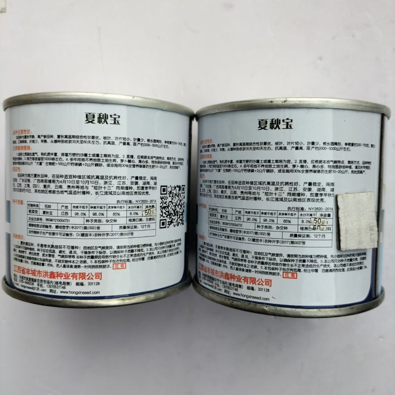 夏秋宝白萝卜种子夏季耐高温抗热纯白萝卜种子水果萝卜种子