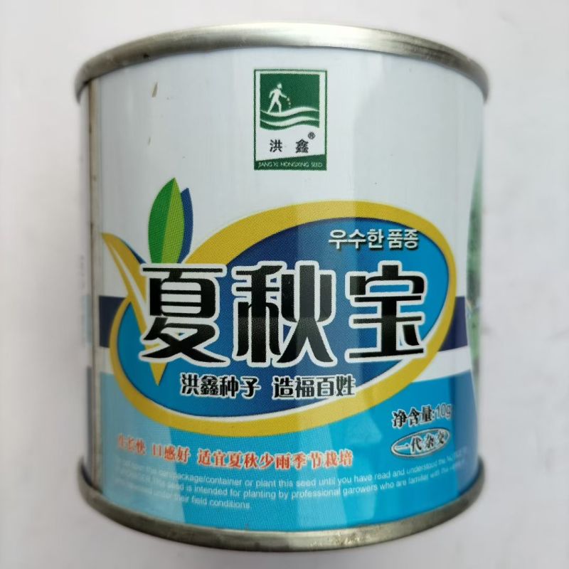 夏秋宝白萝卜种子夏季耐高温抗热纯白萝卜种子水果萝卜种子