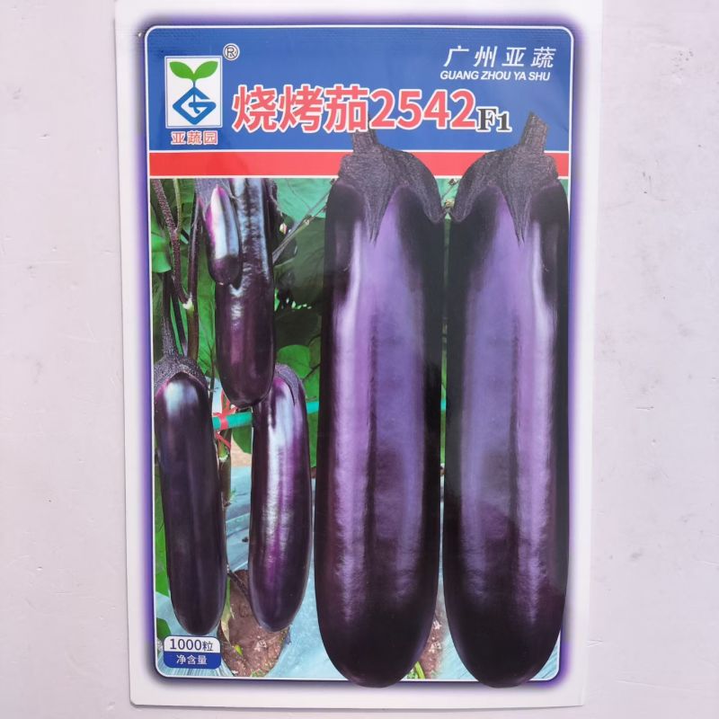 紫红皮烧烤茄种子皮薄光亮肉厚鲜嫩优质烧烤茄种籽高产抗病