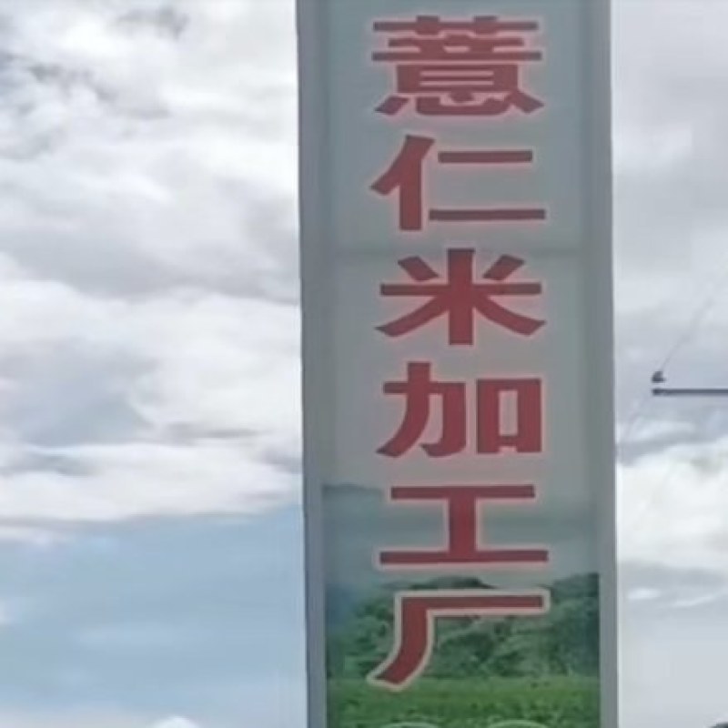 云南红薏仁米，产地直发货源充足稳定，欢迎各地老板来电看货