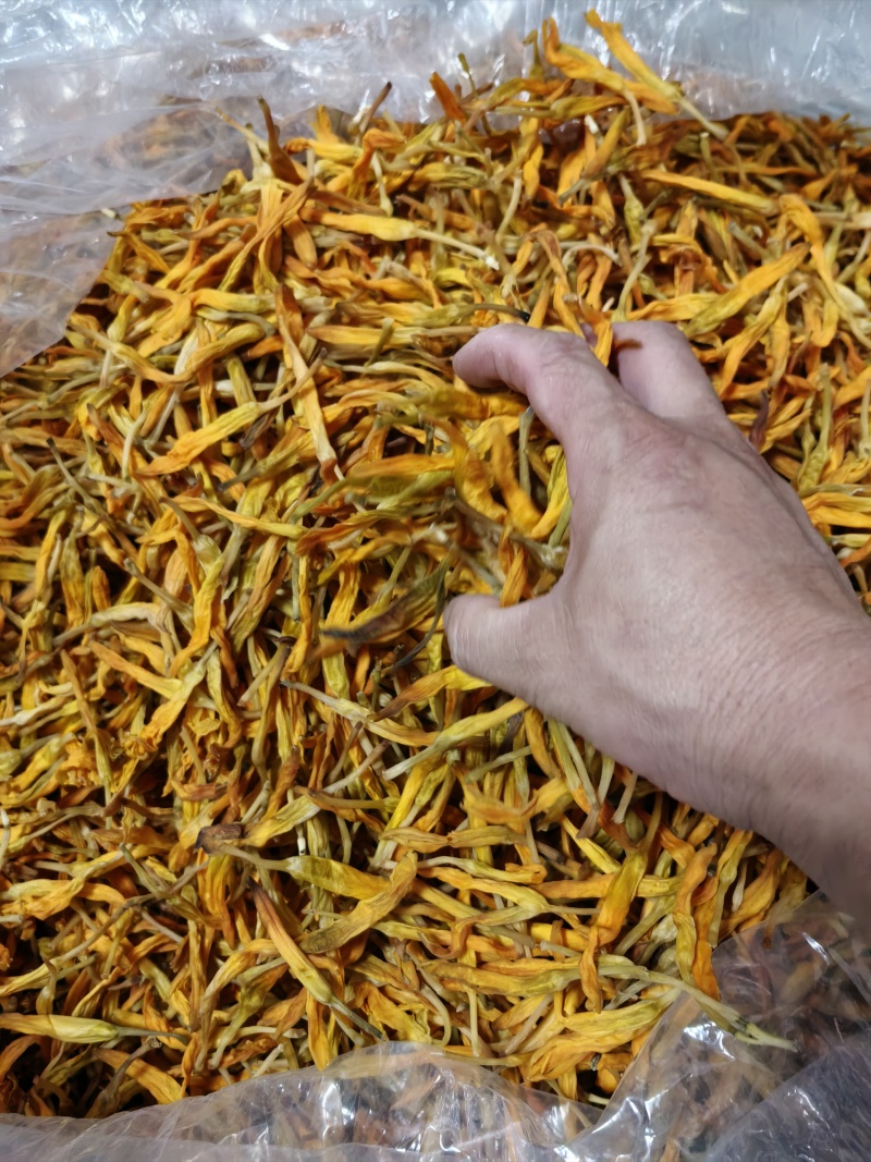 建宁种植的台湾黄花菜不酸甜的干货
