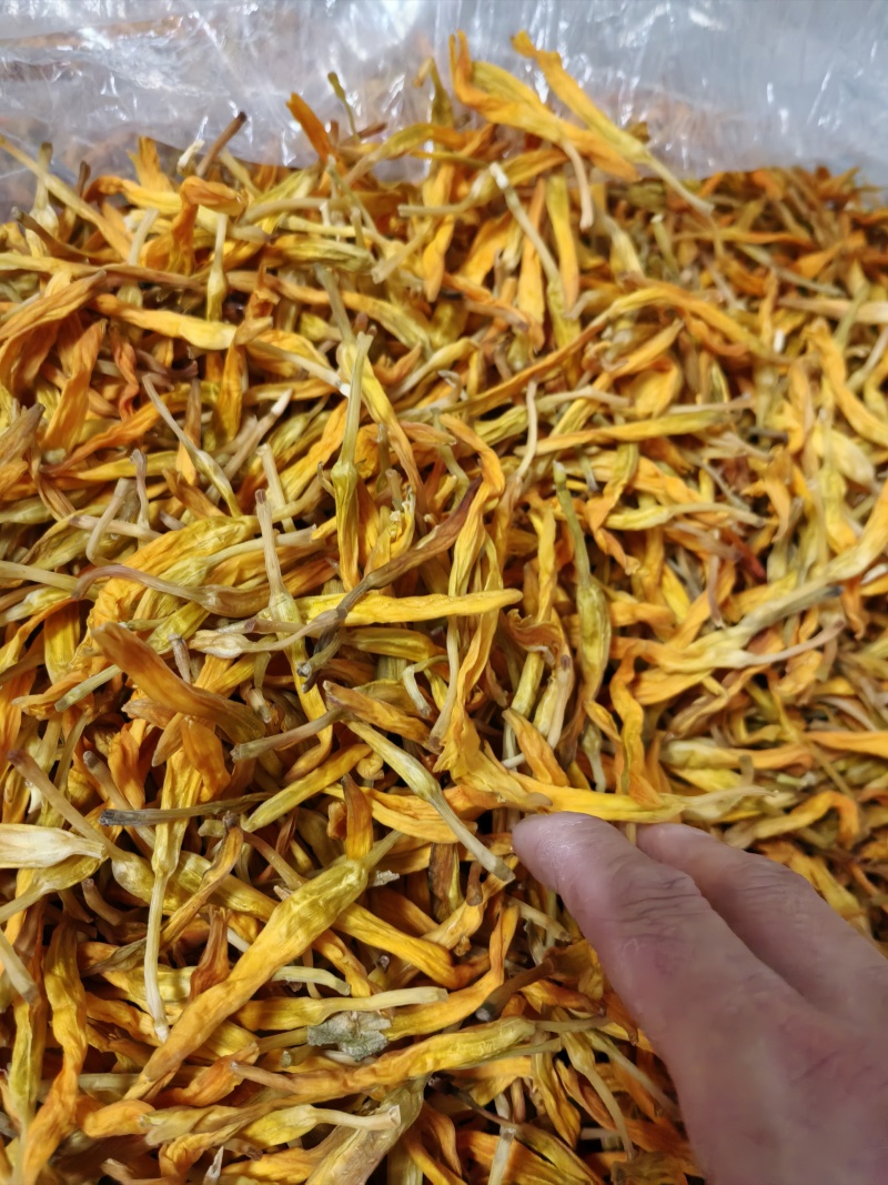 建宁种植的台湾黄花菜不酸甜的干货