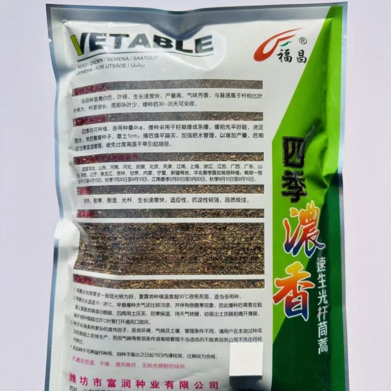 大叶茼蒿种子四季盆栽大田基地蔬菜皇帝菜青菜小叶茼蒿蔬菜种