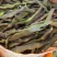 白不老四季豆油豆