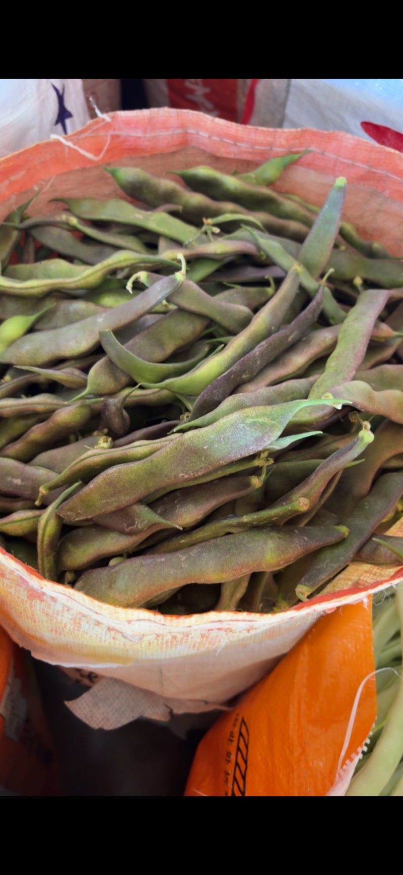 白不老四季豆油豆
