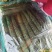 顶花带刺黄瓜上市了有需要的联系