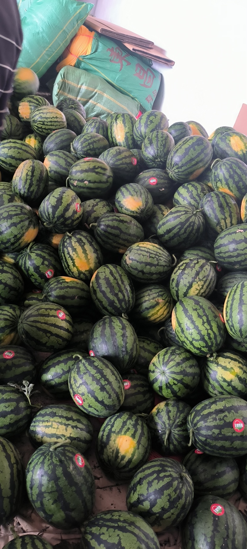 精品甜王西瓜，糖度高，皮薄肉厚保质保量