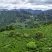 湘西高山云雾绿茶，红茶，电话和微***********