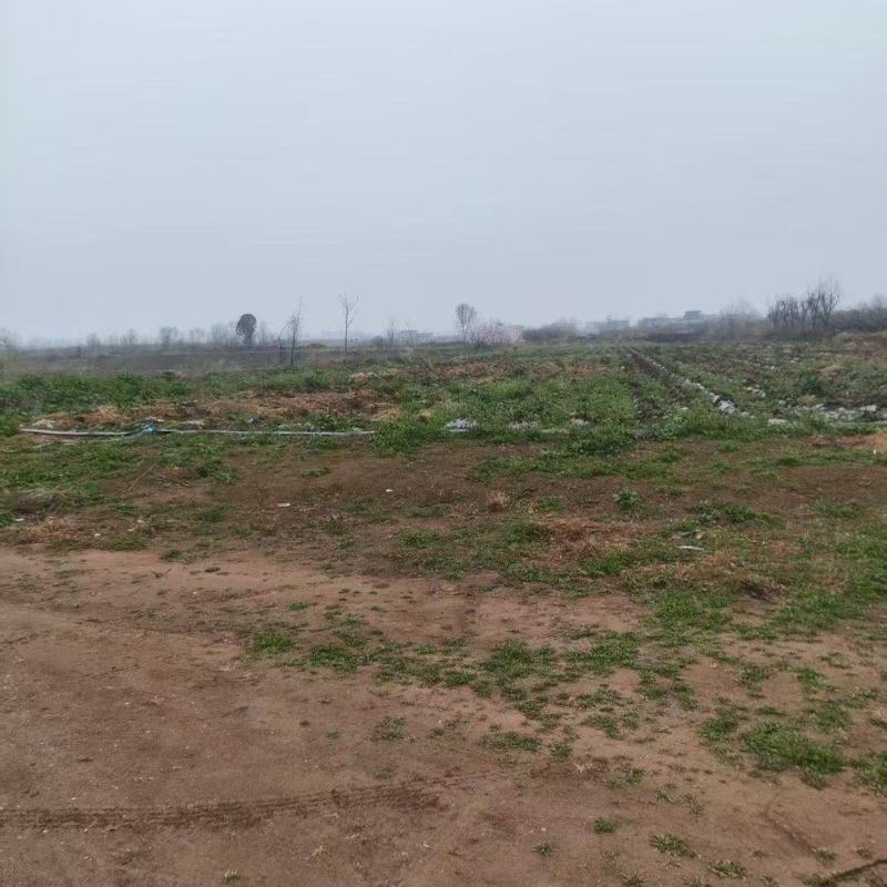 省下几十万！袁家村旁土地，带井带变，车直抵地头，即租即种